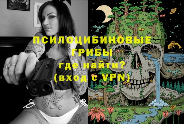 крисы Алексеевка