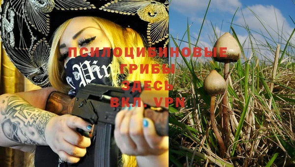 хмурый Абинск