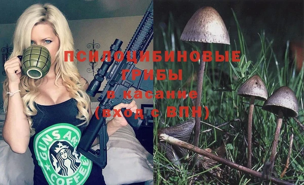крисы Алексеевка